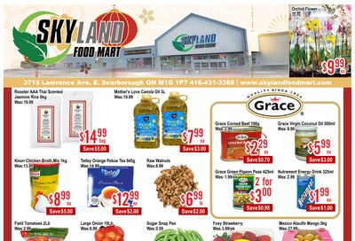 Skyland Food Mart Flyer February 27 to March 5