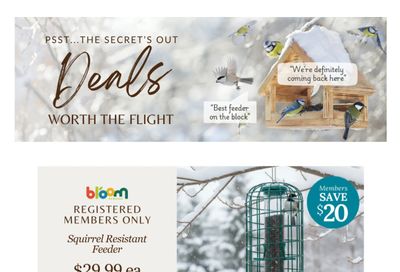 Lakeside Garden Gallery Flyer February 27 to March 5