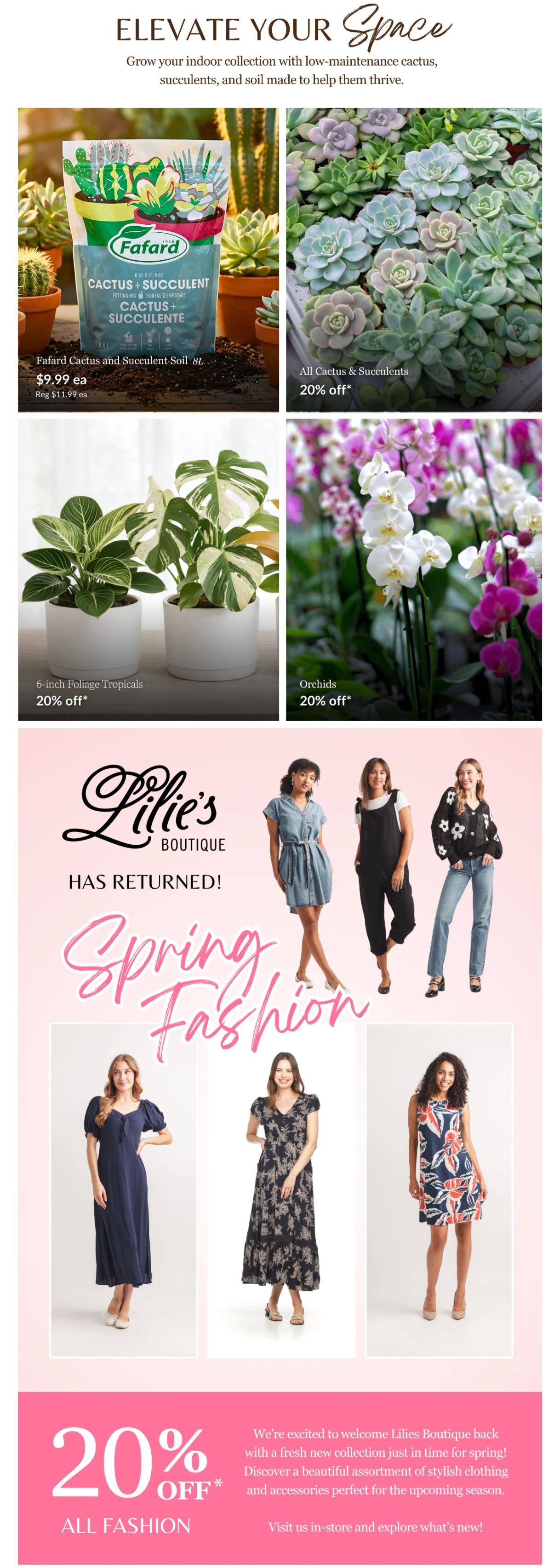Lakeside Garden Gallery Flyer February 27 to March 5