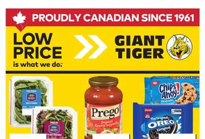 Giant Tiger (ON) Flyer March 4 to 10