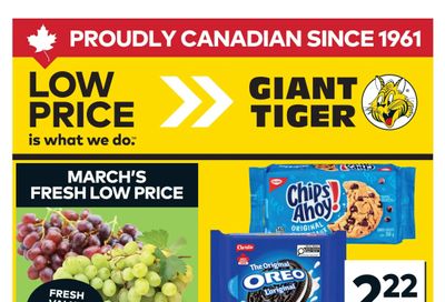 Giant Tiger (West) Flyer March 4 to 10