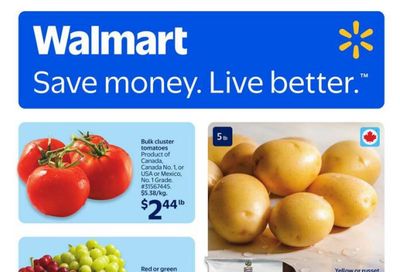 Walmart (ON) Flyer March 5 to 11