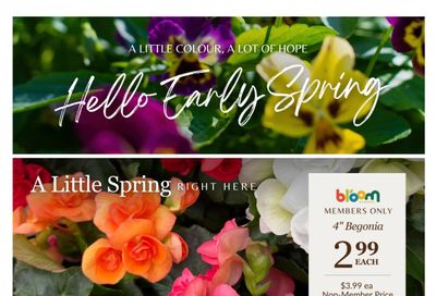 Lakeside Garden Gallery Flyer March 6 to 12