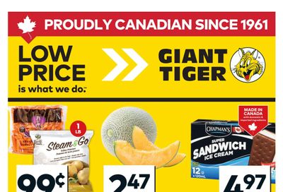 Giant Tiger (Atlantic) Flyer March 11 to 17