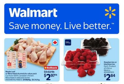Walmart (ON) Flyer March 12 to 18