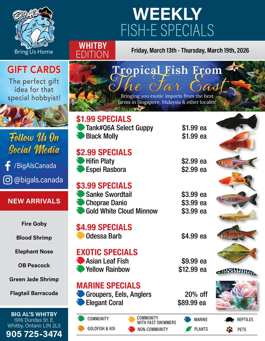 Big Al's (Whitby) Weekly Specials March 13 to 19
