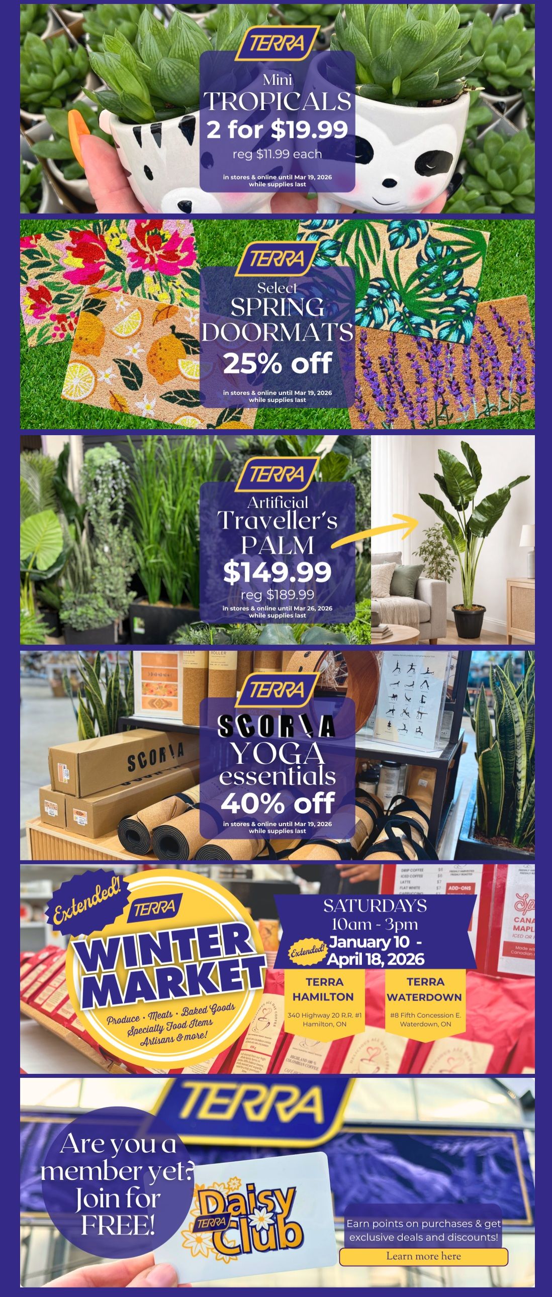 Terra Greenhouses Flyer March 13 to 19