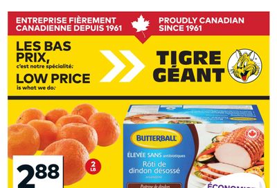 Tigre Géant Flyer March 18 to 24