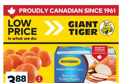 Giant Tiger (Atlantic) Flyer March 18 to 24