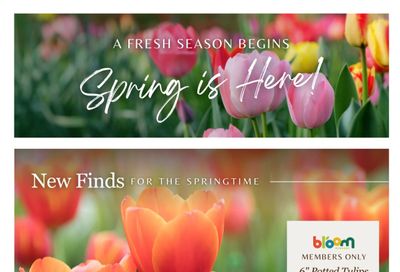 Lakeside Garden Gallery Flyer March 20 to 26