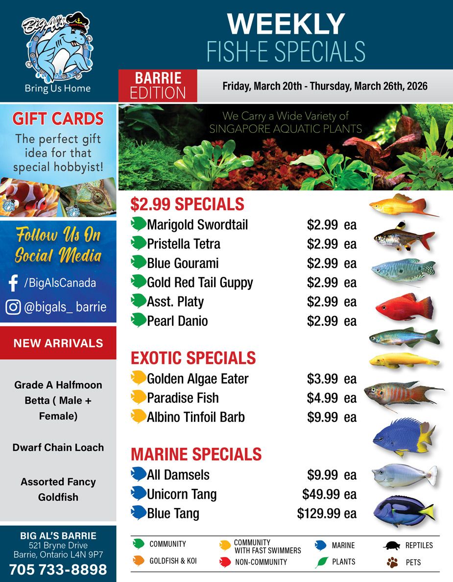 Big Al's (Barrie) Weekly Specials March 20 to 26