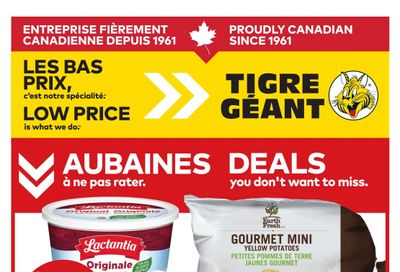 Tigre Géant Flyer March 25 to 31