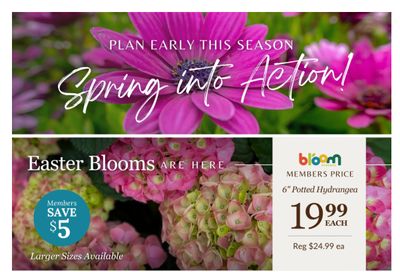 Lakeside Garden Gallery Flyer March 27 to April 2