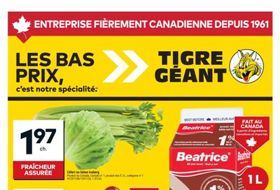 Tigre Géant Flyer April 8 to 14