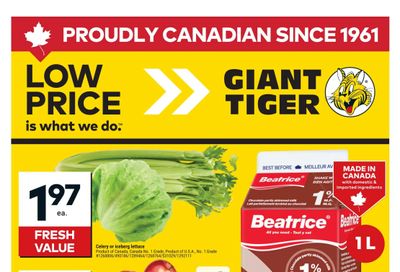Giant Tiger (ON) Flyer April 8 to 14