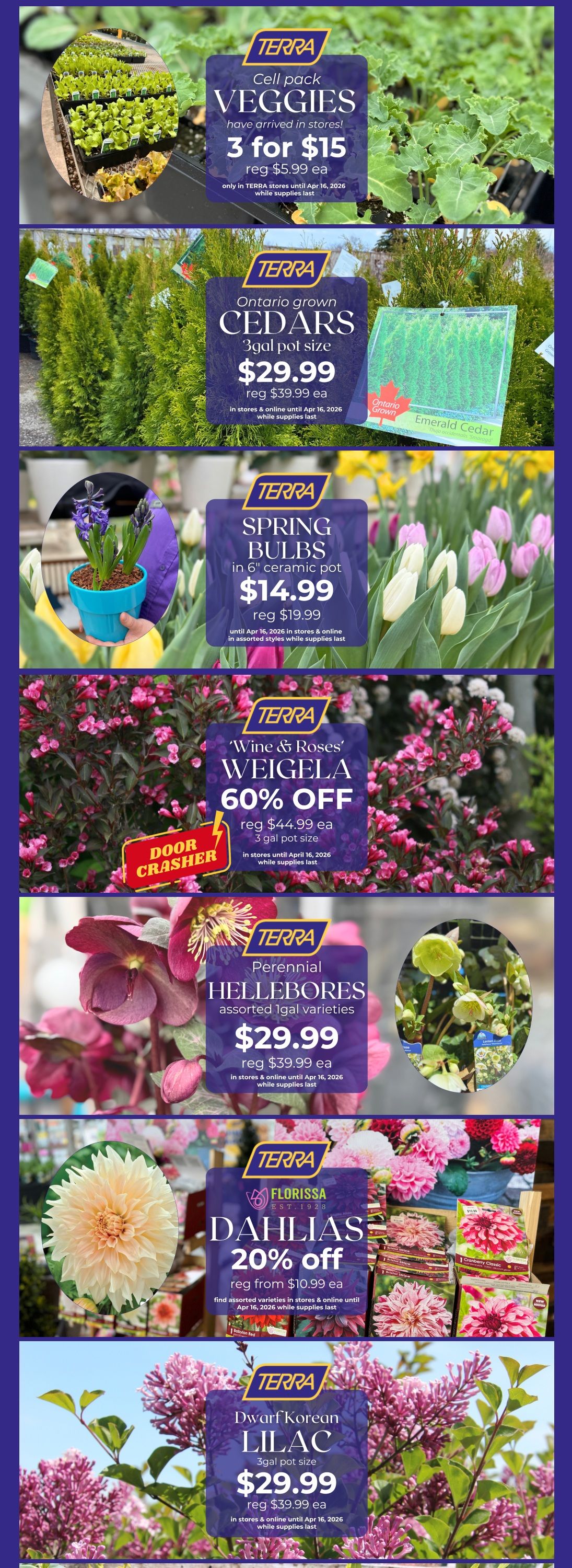 Terra Greenhouses Flyer April 10 to 16