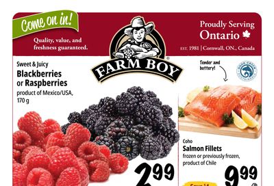 Farm Boy Flyer April 23 to 29