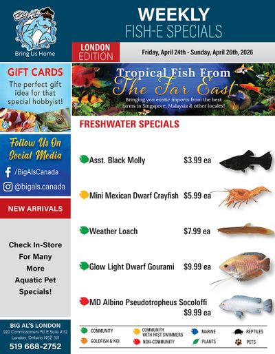 Big Al's (London) Weekend Specials April 24 to 26