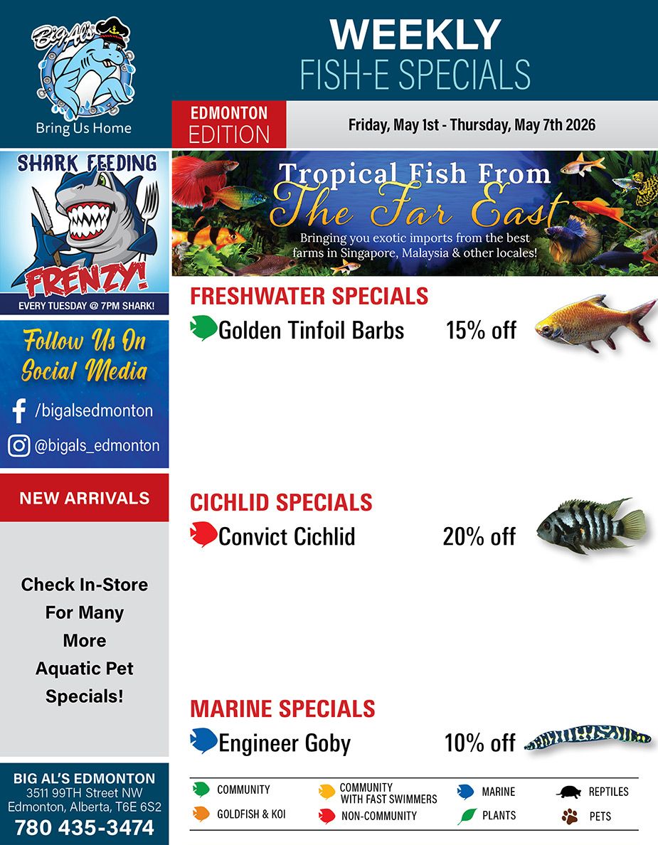 Big Al's (Edmonton) Weekly Specials May 1 to 7