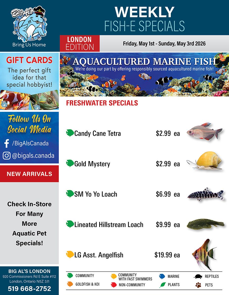 Big Al's (London) Weekend Specials May 1 to 3