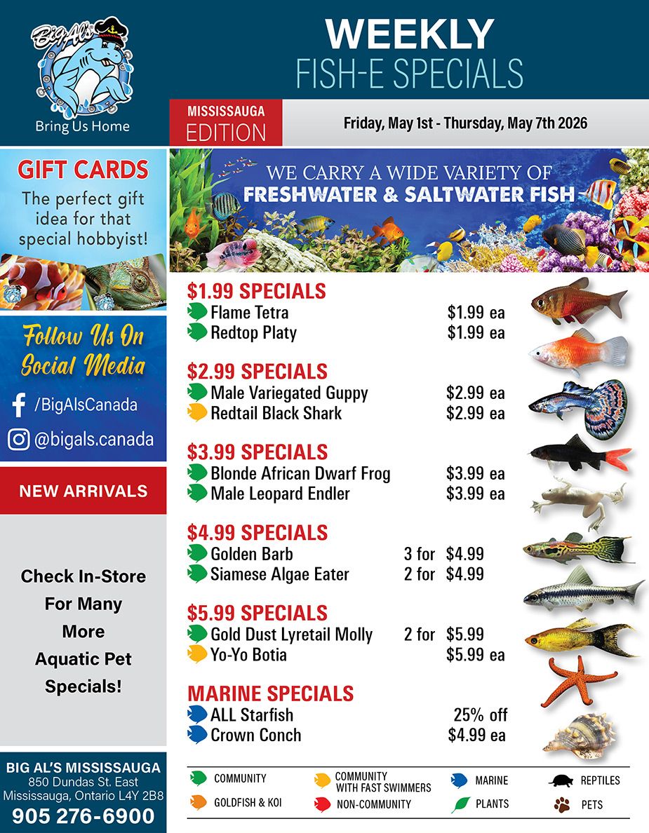 Big Al's (Mississauga) Weekly Specials May 1 to 7
