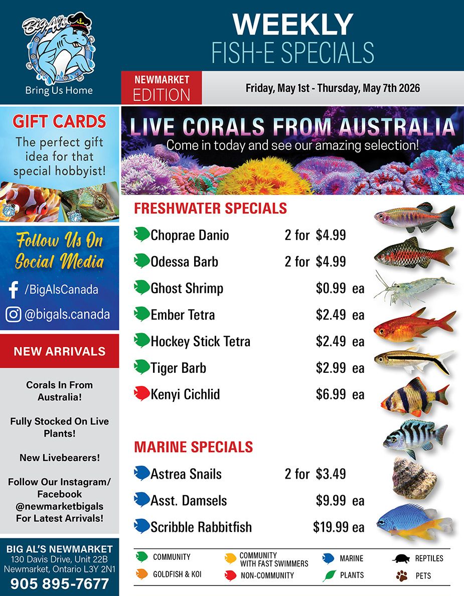 Big Al's (Newmarket) Weekly Specials May 1 to 7