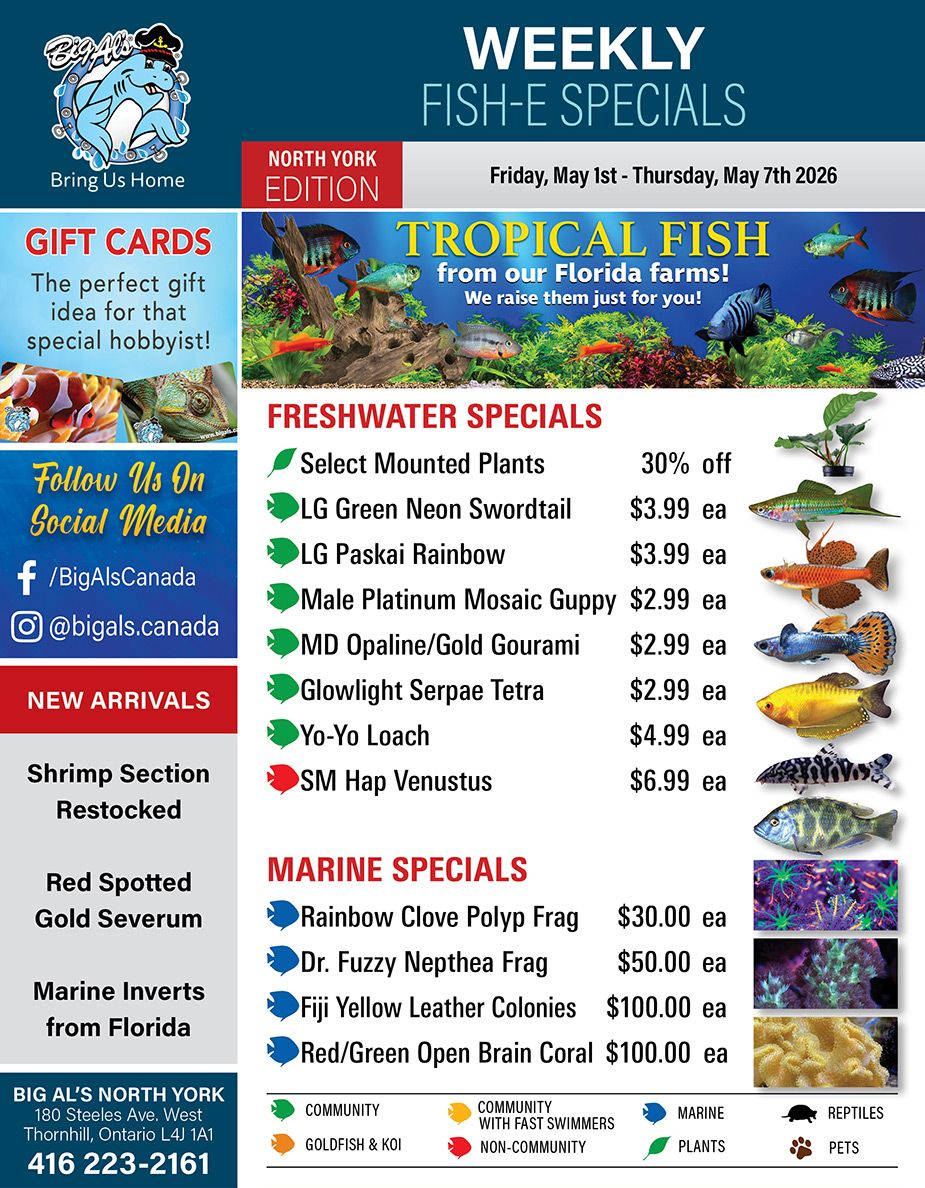 Big Al's (North York) Weekly Specials May 1 to 7