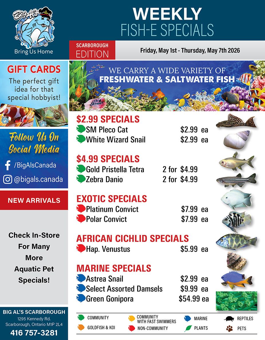 Big Al's (Scarborough) Weekly Specials May 1 to 7