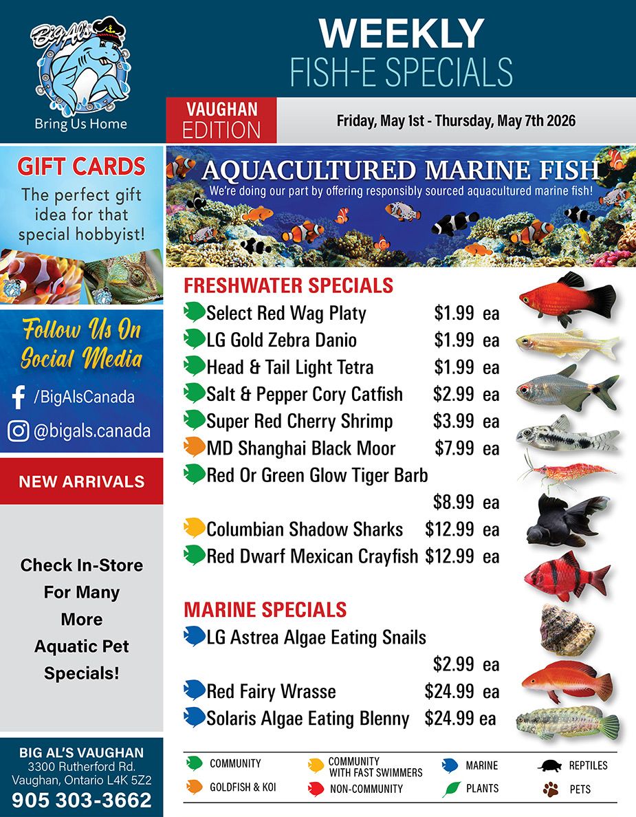 Big Al's (Vaughan) Weekly Specials May 1 to 7