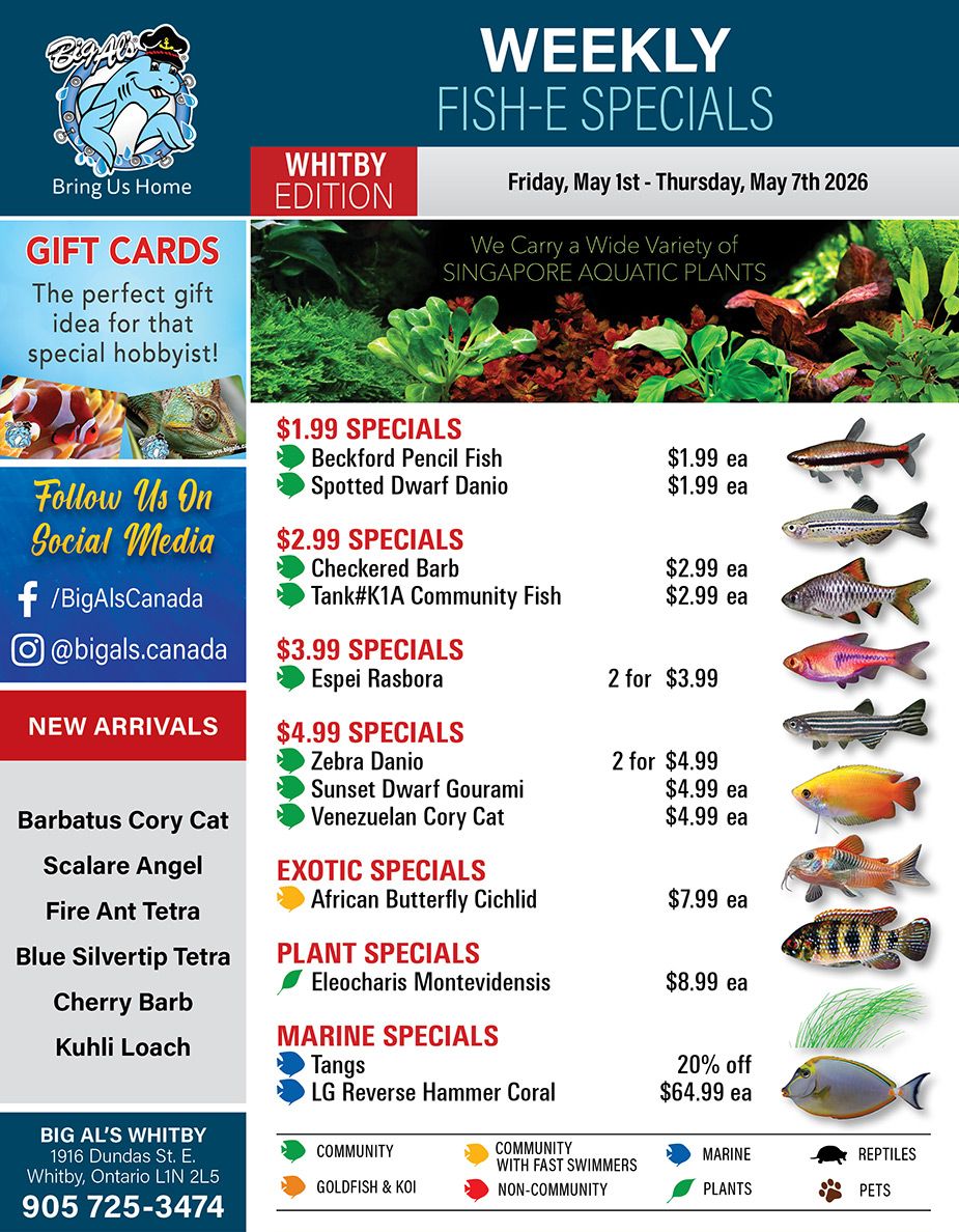Big Al's (Whitby) Weekly Specials May 1 to 7