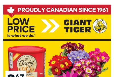 Giant Tiger (West) Flyer May 6 to 12
