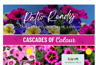 Lakeside Garden Gallery Flyer May 8 to 14