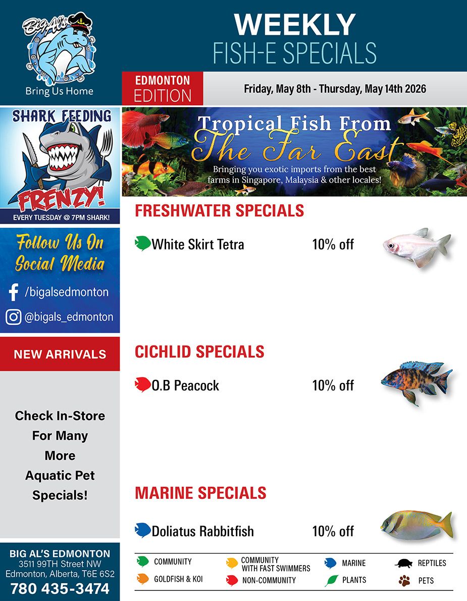 Big Al's (Edmonton) Weekly Specials May 8 to 14