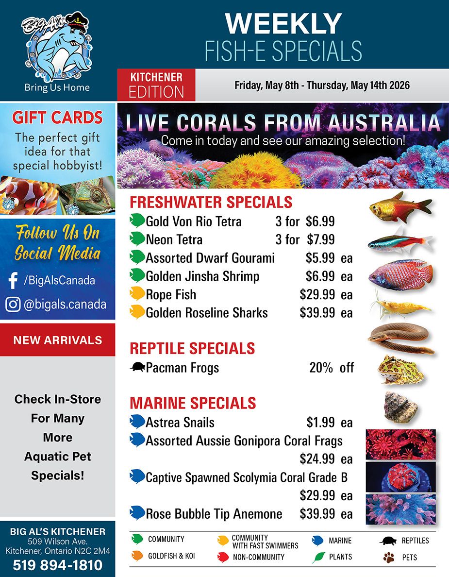 Big Al's (Kitchener) Weekly Specials May 8 to 14