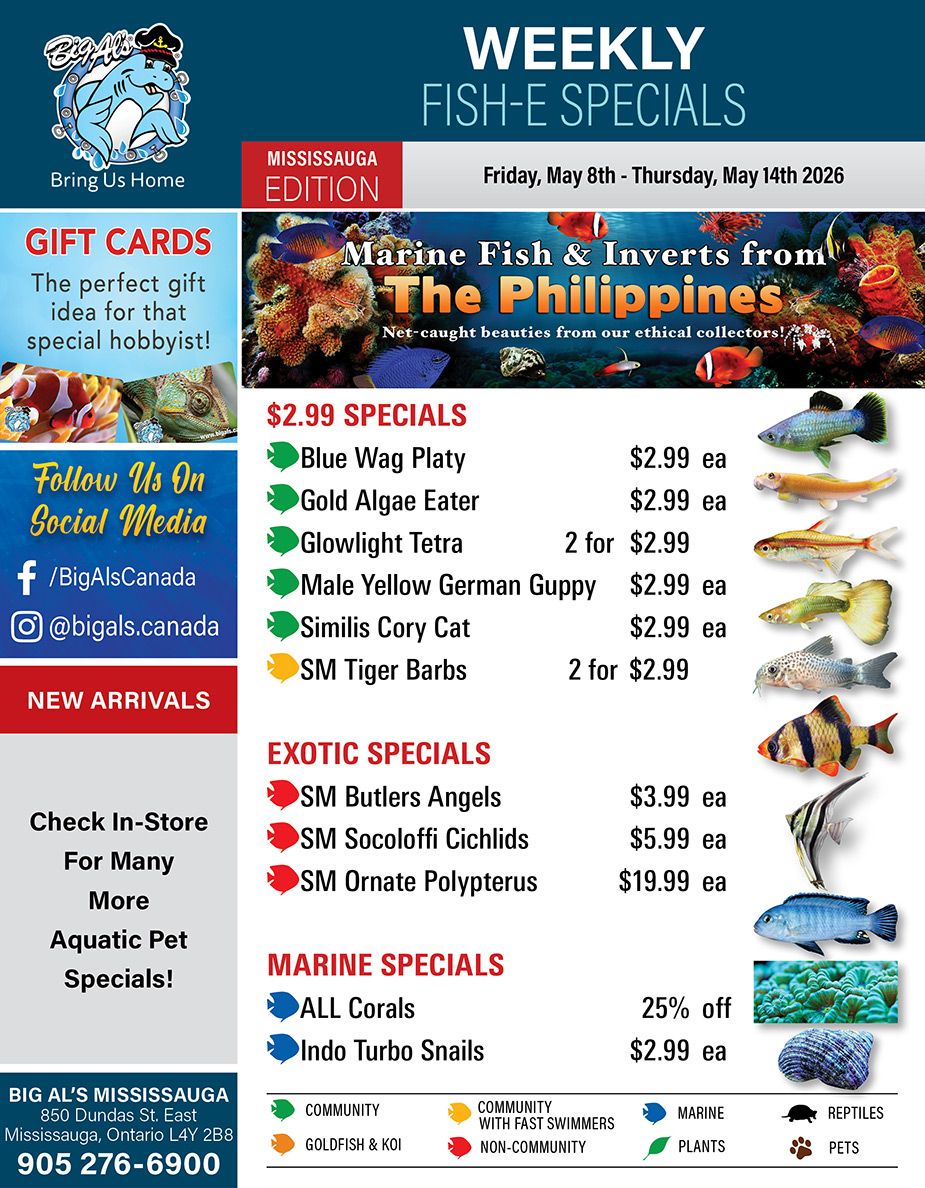 Big Al's (Mississauga) Weekly Specials May 8 to 14