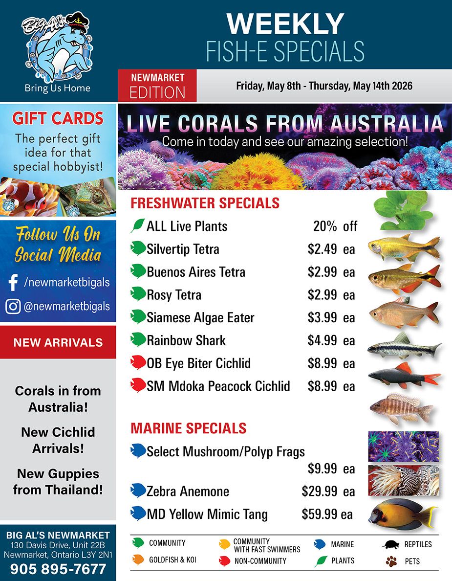 Big Al's (Newmarket) Weekly Specials May 8 to 14