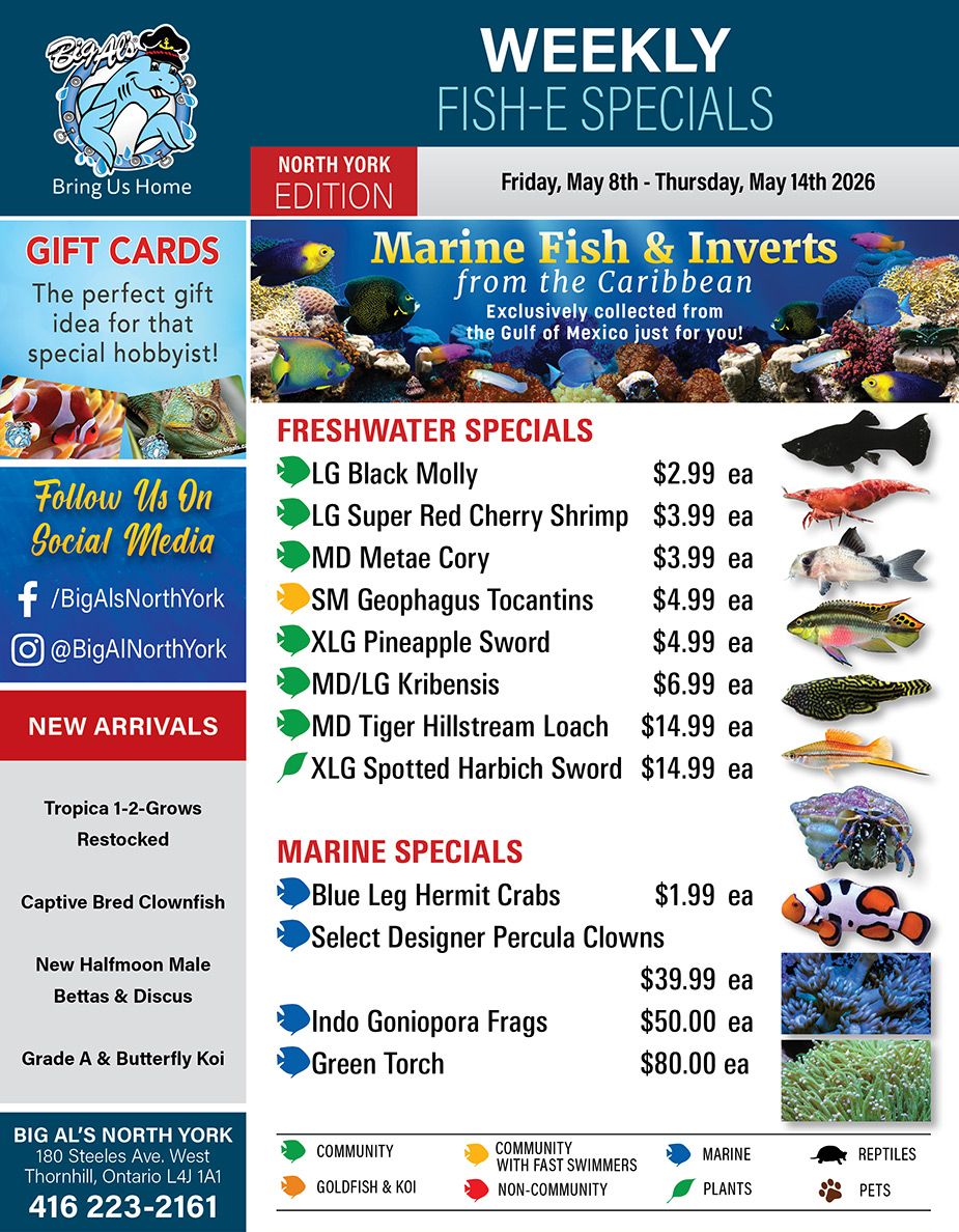 Big Al's (North York) Weekly Specials May 8 to 14