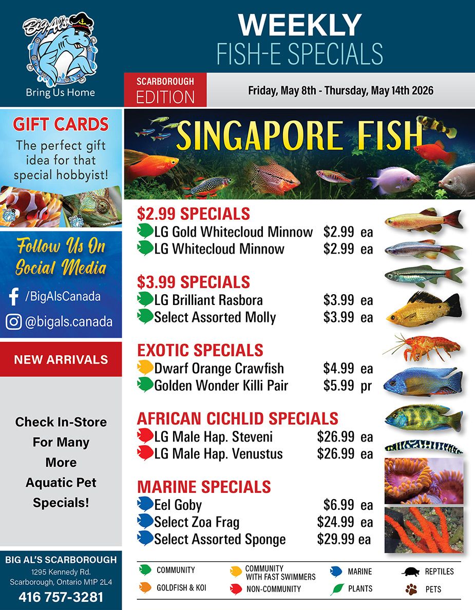 Big Al's (Scarborough) Weekly Specials May 8 to 14