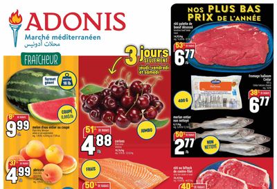 Adonis (QC) Flyer May 14 to 20