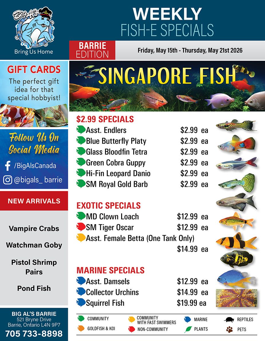Big Al's (Barrie) Weekly Specials May 15 to 21