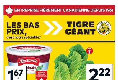 Tigre Géant Flyer May 20 to 26