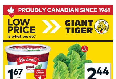 Giant Tiger (Atlantic) Flyer May 20 to 26