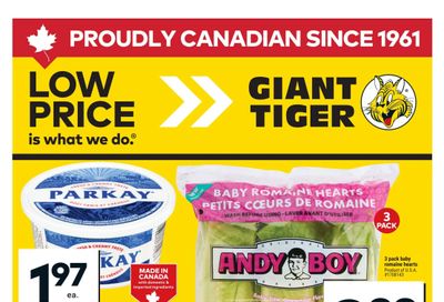 Giant Tiger (West) Flyer May 20 to 26