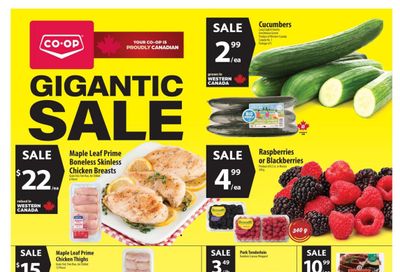 Co-op (West) Food Store Flyer May 21 to 27