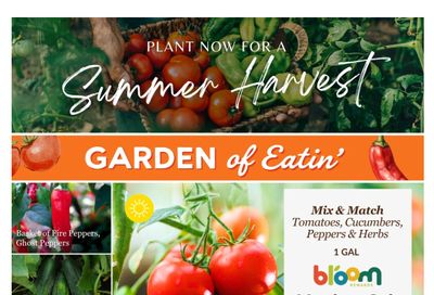 Lakeside Garden Gallery Flyer May 22 to 28