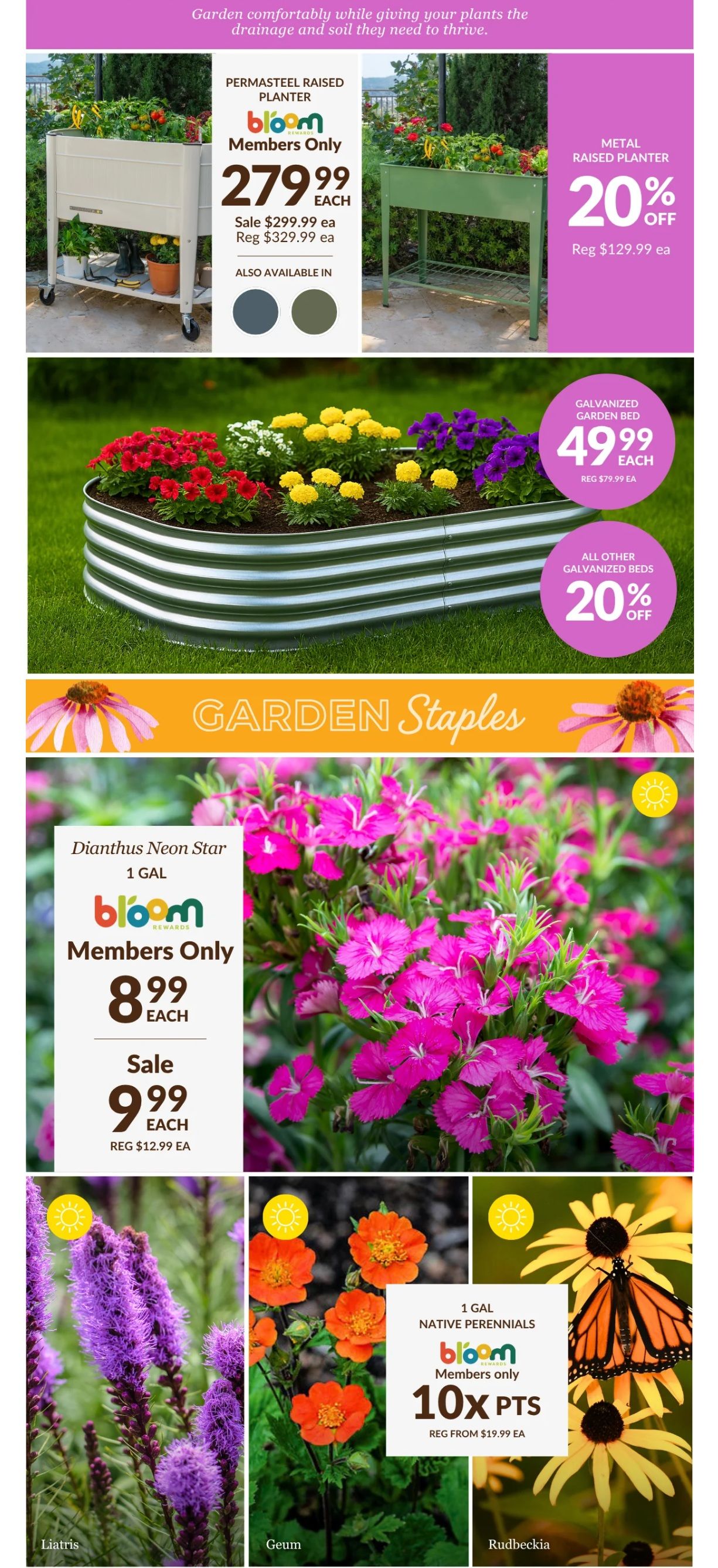 Lakeside Garden Gallery Flyer May 22 to 28