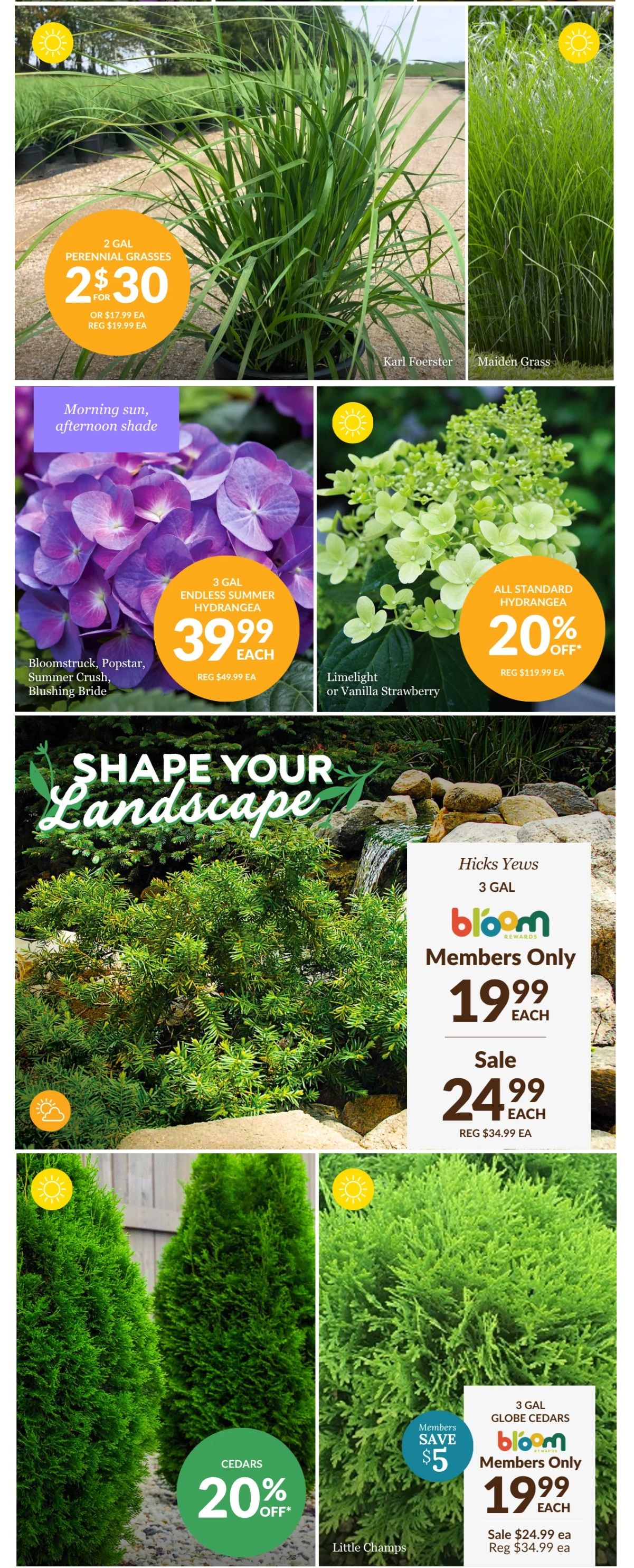 Lakeside Garden Gallery Flyer May 22 to 28