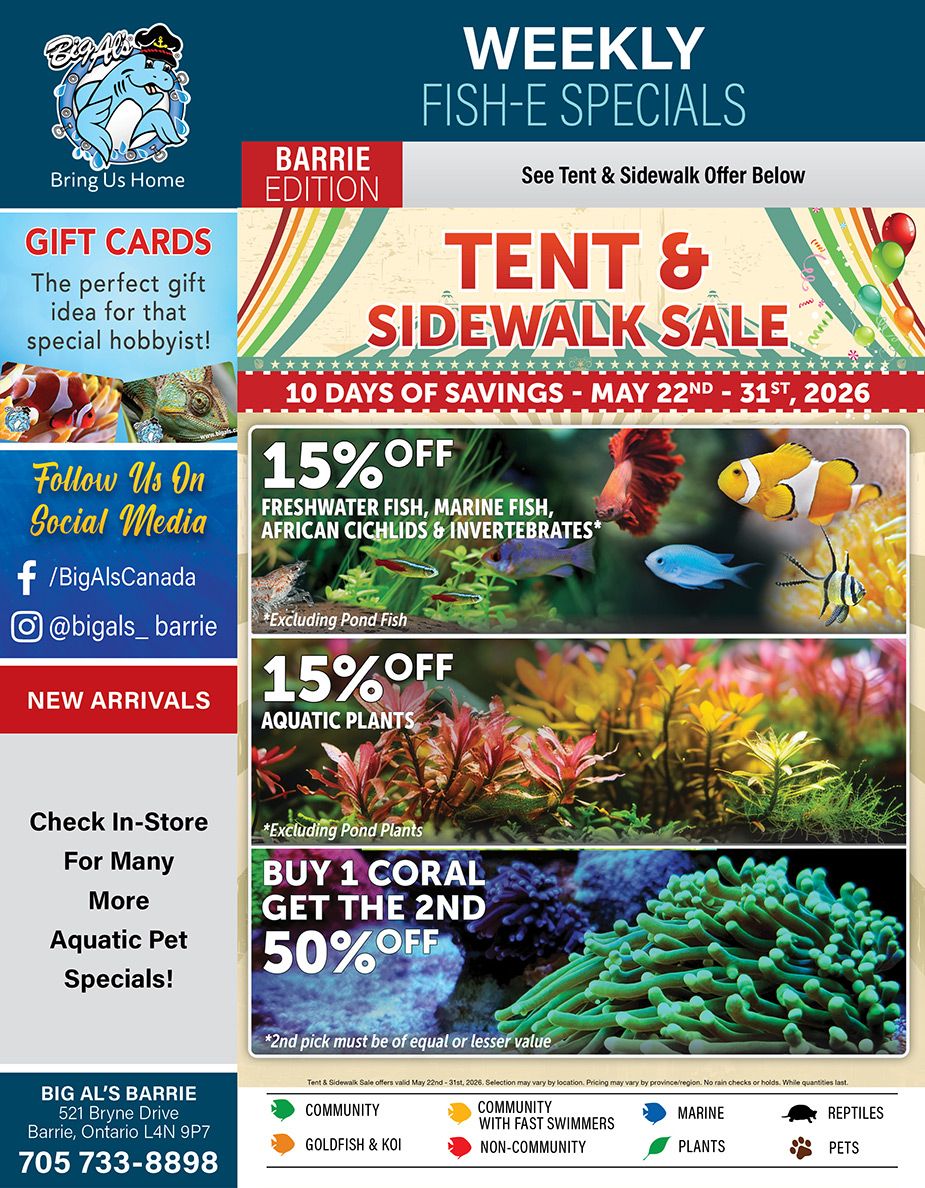 Big Al's (Barrie) Weekly Specials May 22 to 31