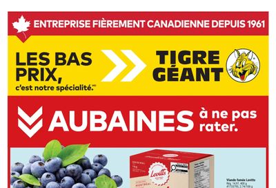 Tigre Géant Flyer May 27 to June 2