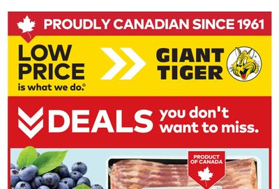 Giant Tiger (West) Flyer May 27 to June 2